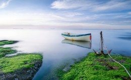 孤舟湖岸苔藓一望无际风景壁纸